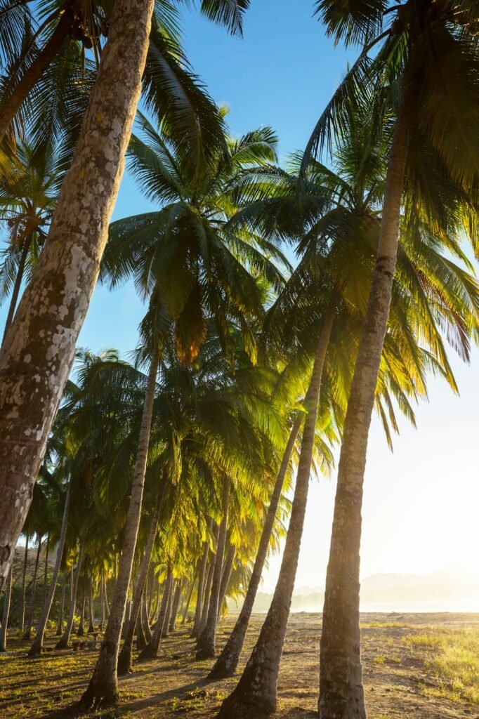 Coast in Costa Rica