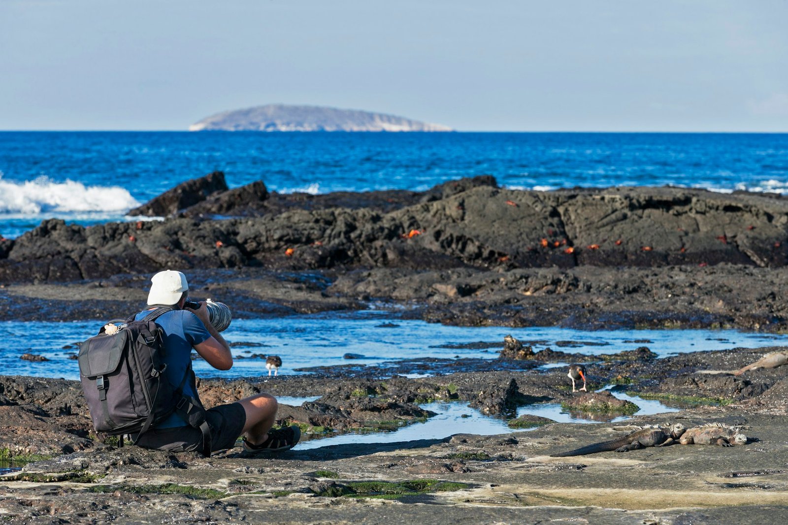 Ecuador, Galapagos Islands, Santiago, man photographing at seafront