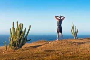 Man standing on mountain top, looking at view, rear view, Jericoacoara National Park, Ceara, Brazil