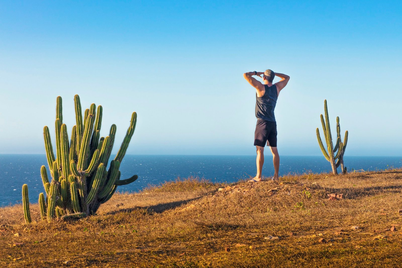 Man standing on mountain top, looking at view, rear view, Jericoacoara National Park, Ceara, Brazil
